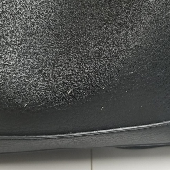 Cat backpack. - Picture 3 of 3